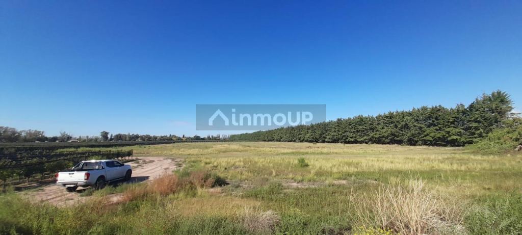 Finca en Venta en Lujan de Cuyo, Mendoza