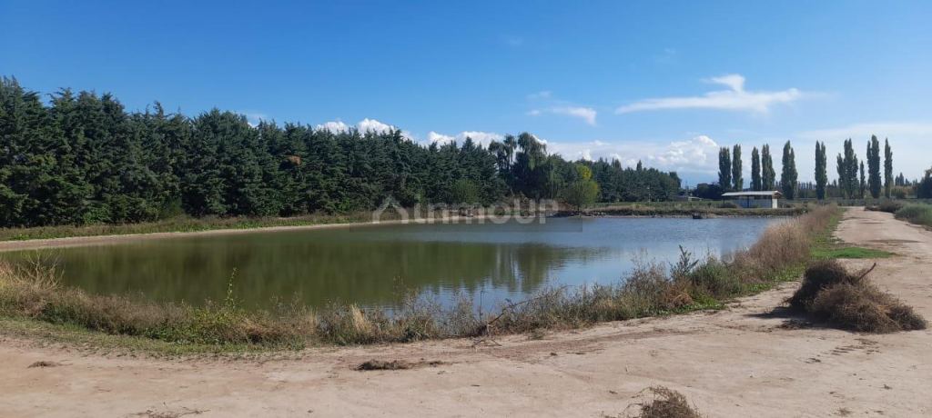 Finca en Venta en Lujan de Cuyo, Mendoza