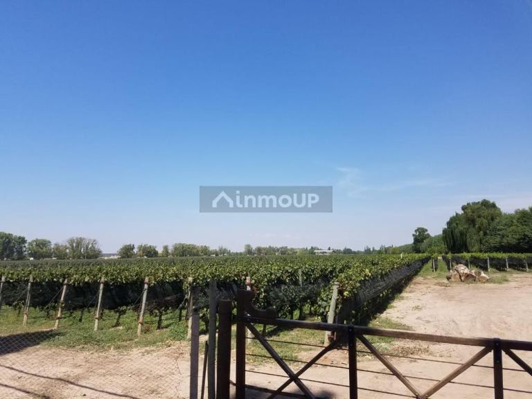 Finca en Venta en Lujan de Cuyo, Mendoza