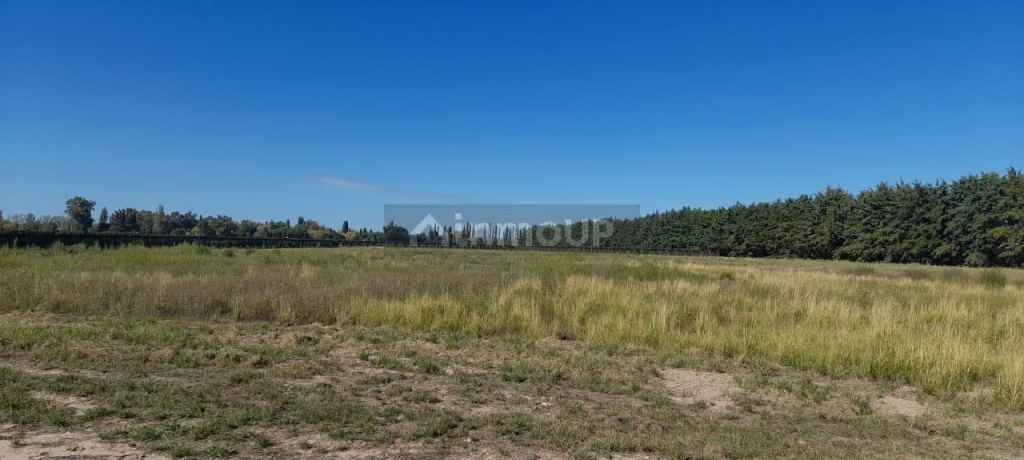 Finca en Venta en Lujan de Cuyo, Mendoza