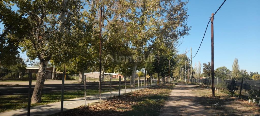 Finca en Venta en Lujan de Cuyo, Mendoza
