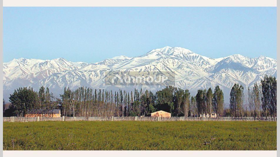 Finca en Venta en Lujan de Cuyo, Mendoza