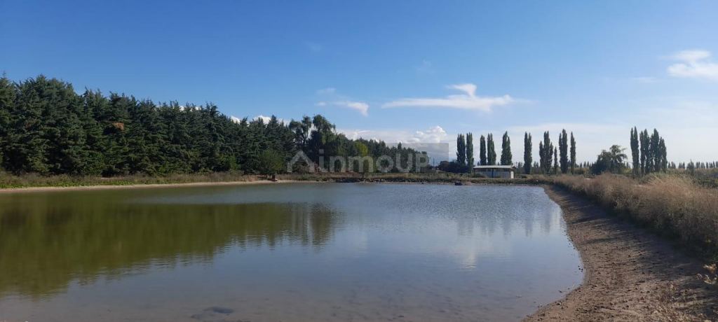 Finca en Venta en Lujan de Cuyo, Mendoza