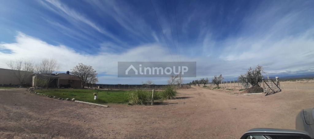 Finca en Venta en Lujan de Cuyo, Mendoza