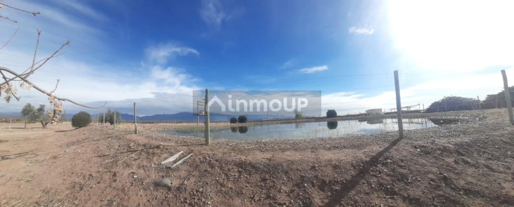 Finca en Venta en Lujan de Cuyo, Mendoza