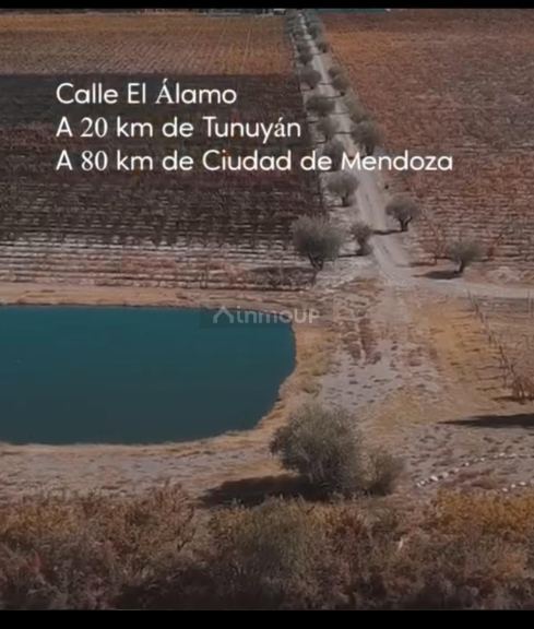 Bodega con Viñedo en Venta en Tupungato, Mendoza