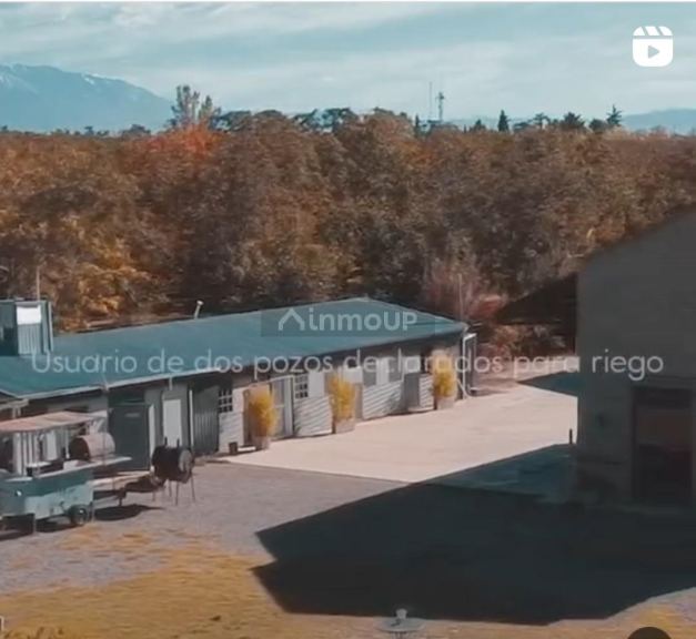 Bodega con Viñedo en Venta en Tupungato, Mendoza