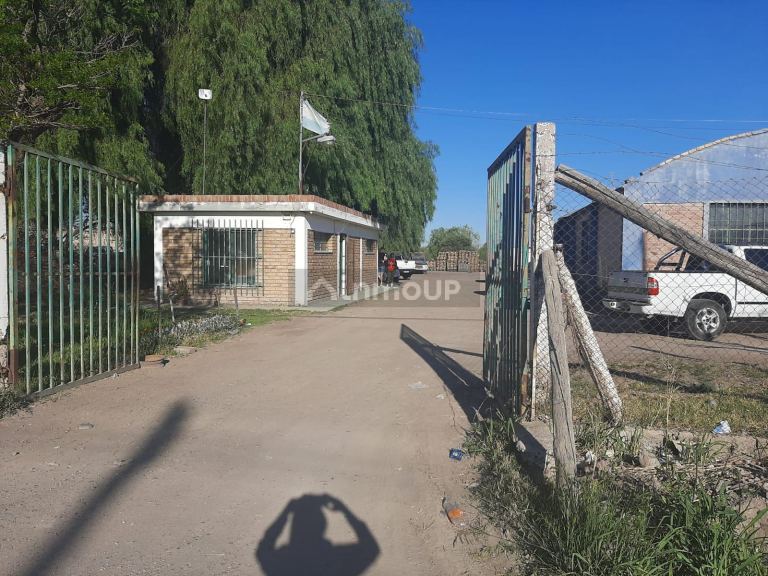 Galpon en Venta en San Martin, Mendoza