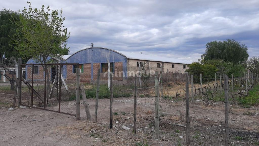 Galpon en Venta en San Martin, Mendoza
