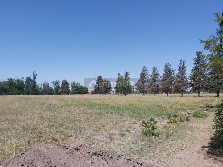 Finca en Venta en Tunuyan, Mendoza