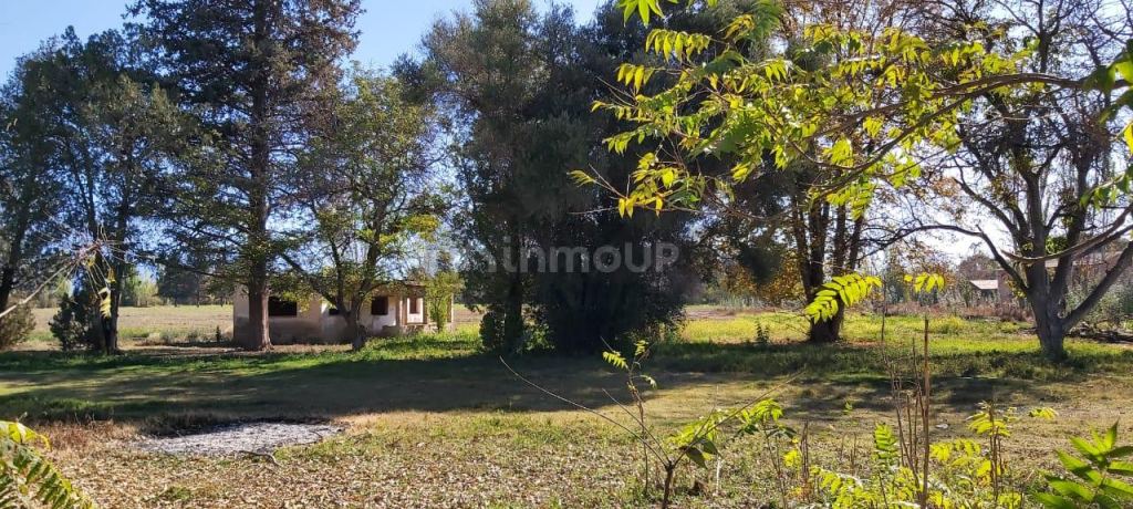 Finca en Venta en Tunuyan, Mendoza