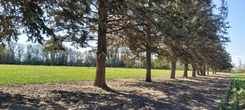 Finca en Venta en Tunuyan, Mendoza