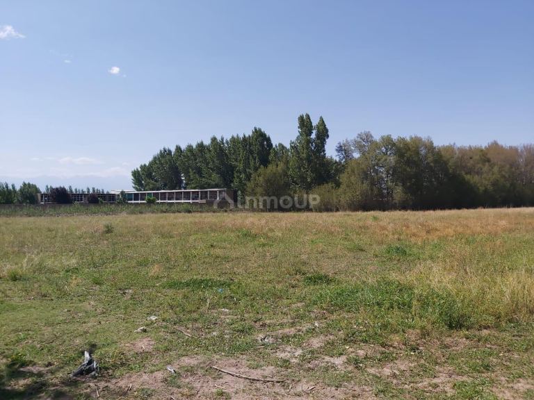 Finca en Venta en Tunuyan, Mendoza
