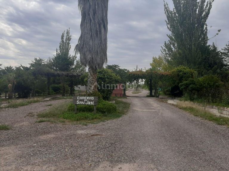 Lote en Venta en Junin, Mendoza