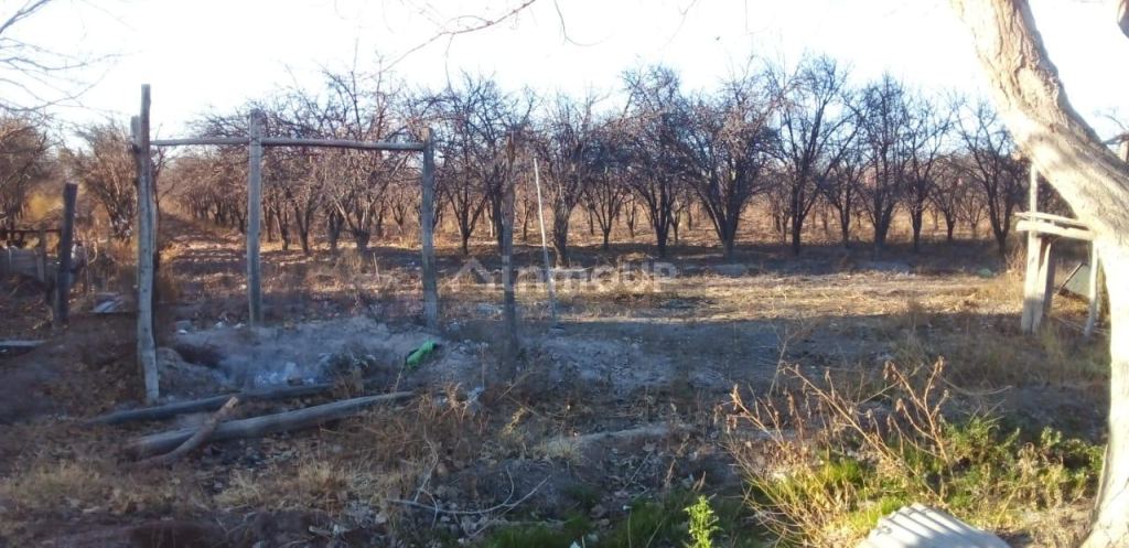 Finca en Venta en Santa Rosa, Mendoza