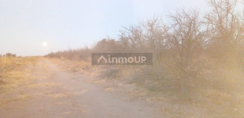 Finca en Venta en Santa Rosa, Mendoza