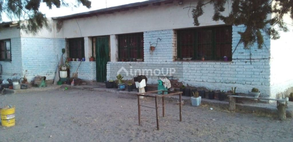 Finca en Venta en Santa Rosa, Mendoza