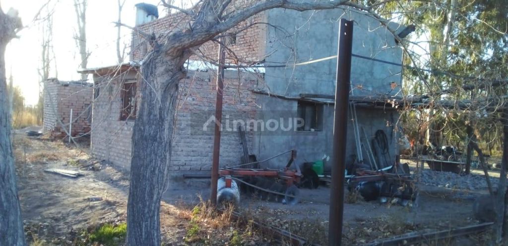 Finca en Venta en Santa Rosa, Mendoza