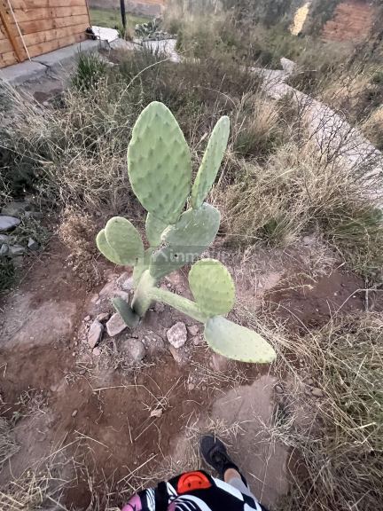 Cabaña en Venta en Las Heras, Mendoza