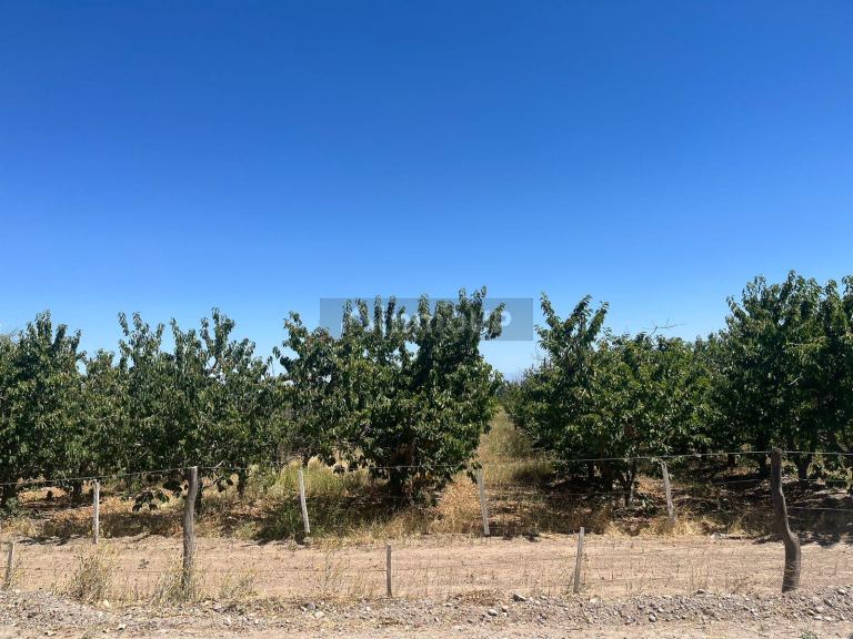 Finca en Venta en Tupungato, Mendoza
