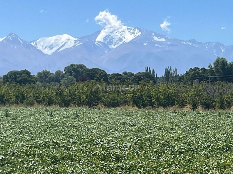 Finca en Venta en Tupungato, Mendoza