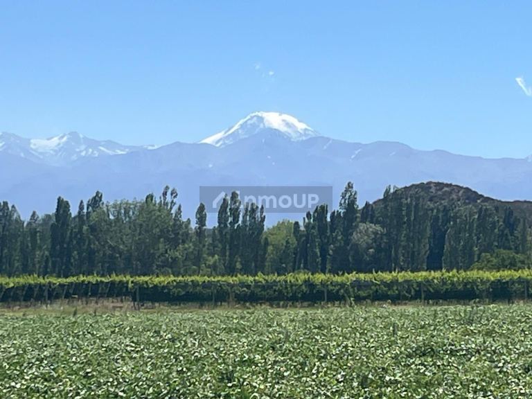 Finca en Venta en Tupungato, Mendoza