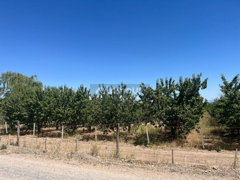 Finca en Venta en Tupungato, Mendoza