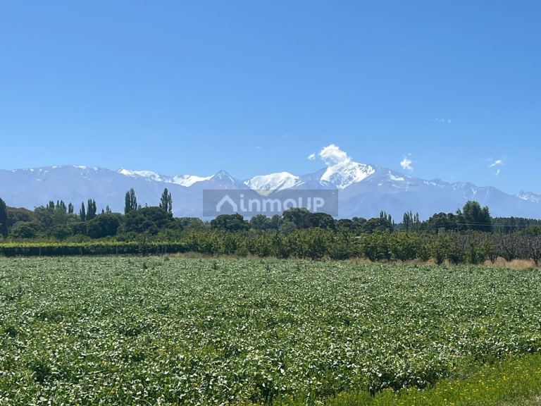 Finca en Venta en Tupungato, Mendoza