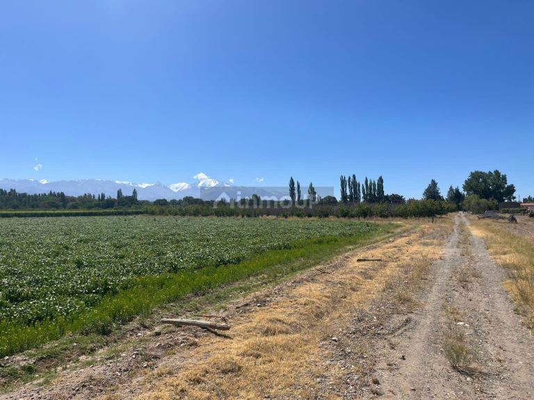 Finca en Venta en Tupungato, Mendoza