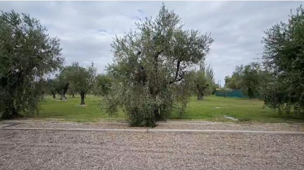Lote en Venta en Maipu, Mendoza