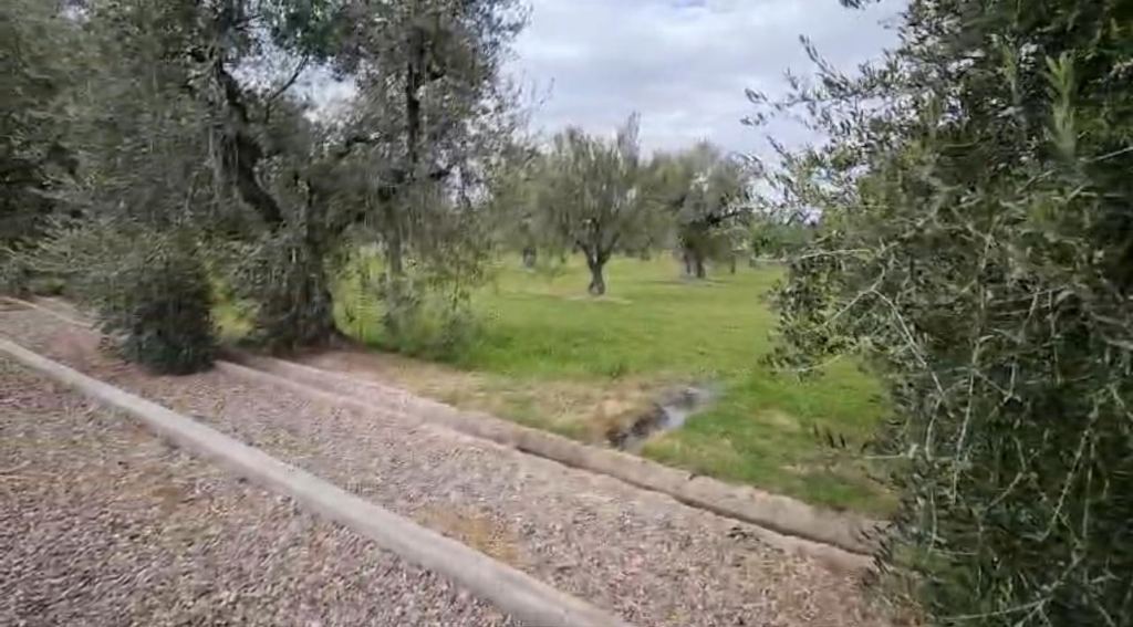 Lote en Venta en Maipu, Mendoza