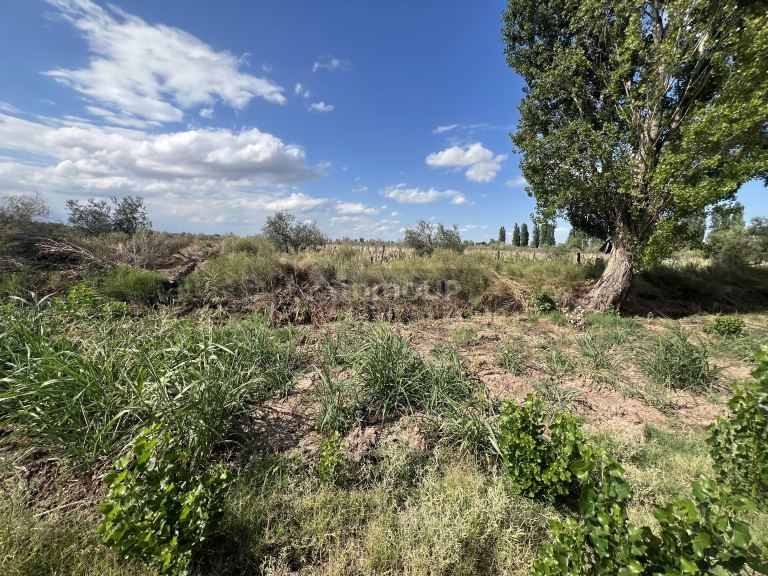 Finca en Venta en Maipu, Mendoza