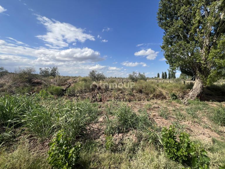 Finca en Venta en Maipu, Mendoza