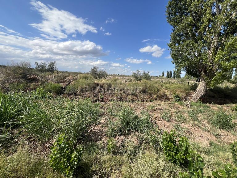 Finca en Venta en Maipu, Mendoza