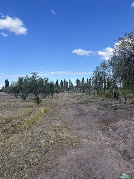 Finca en Venta en Maipu, Mendoza