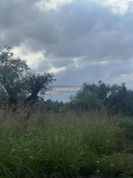 Finca en Venta en Maipu, Mendoza