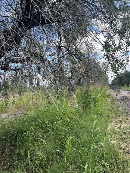 Finca en Venta en Maipu, Mendoza