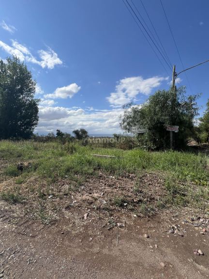 Finca en Venta en Maipu, Mendoza