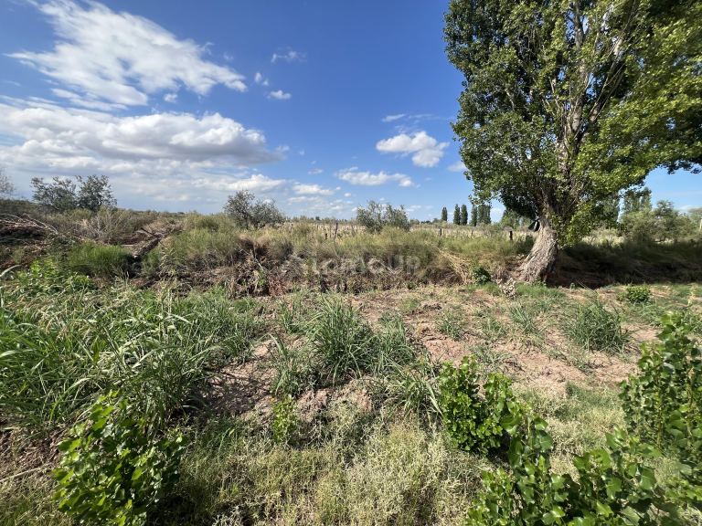 Finca en Venta en Maipu, Mendoza
