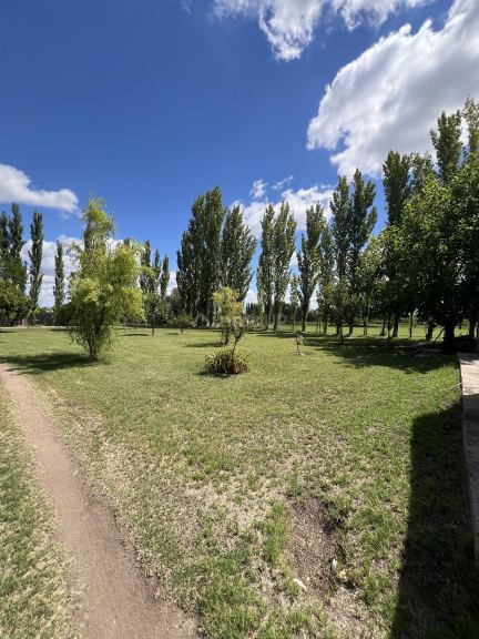 Casa en Venta en Rivadavia, Mendoza