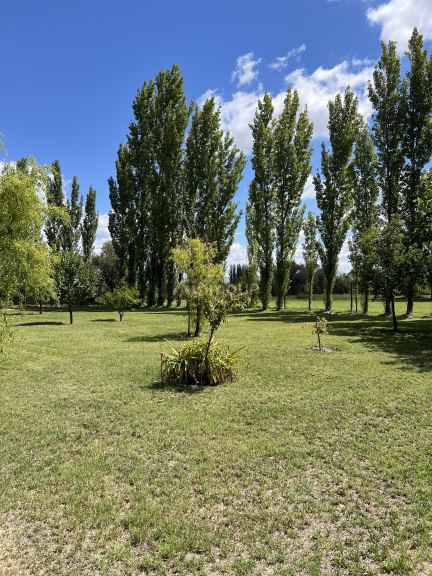 Casa en Venta en Rivadavia, Mendoza