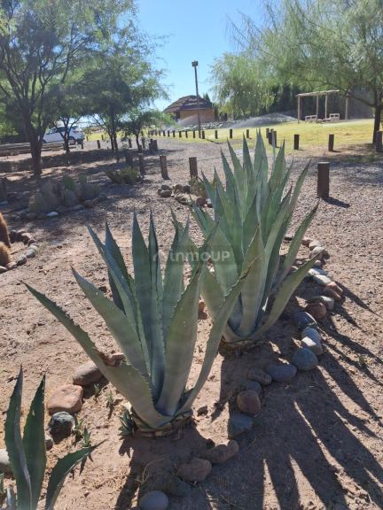 Lote en Venta en Lavalle, Mendoza
