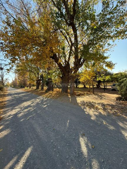Finca en Venta en Lavalle, Mendoza