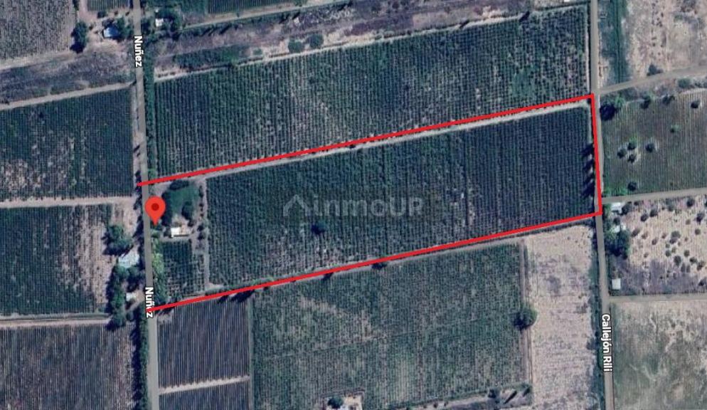 Finca en Venta en Lavalle, Mendoza