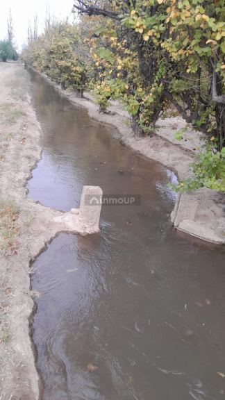 Finca en Venta en Lavalle, Mendoza