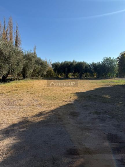 Finca en Venta en Lavalle, Mendoza