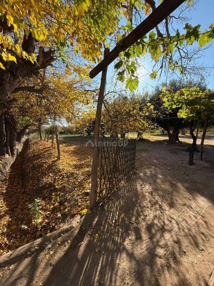 Finca en Venta en Lavalle, Mendoza