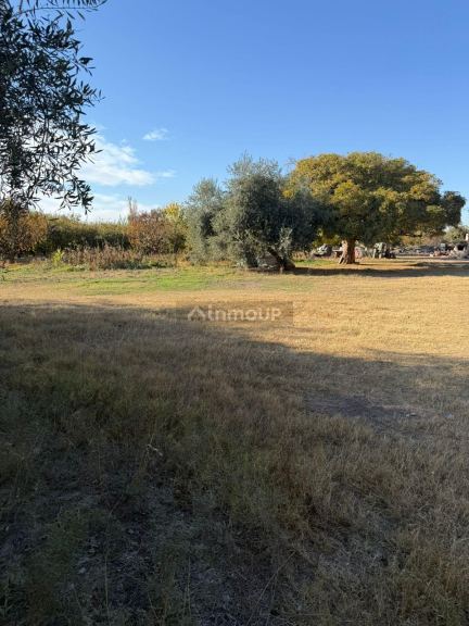 Finca en Venta en Lavalle, Mendoza