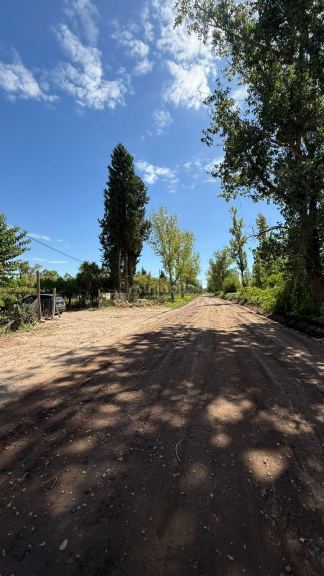 Finca en Venta en San Martin, Mendoza