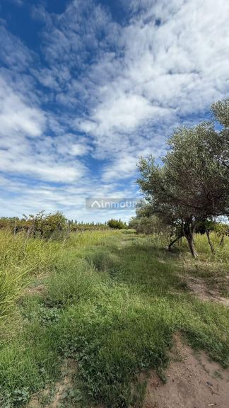 Finca en Venta en San Martin, Mendoza
